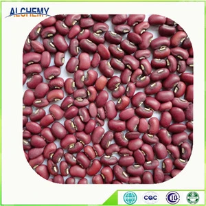 China supplier wholesale white cowpea and red vigna bean price ton
