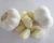 Import China Supply Fresh Round White Garlic With Skin For Sale from China
