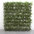 Import China wholesale artificial plastic ivy trellis fence for outdoor or indoor decoration from China