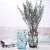 Import clear glass vase with handle transparent glass vases light blue from China