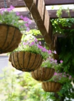 COCO FIBER POT - Coir Fiber hanging Basket - (Mobi/viber/whatsapp: +84 120-3970-669)
