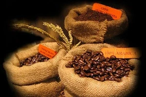 Coffee Beans From Philippines