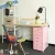 Import Computer Table Home Laptop Stand Children Study Desk With Steel Tubes Mdf Table Top from China