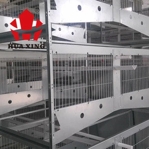 coop chicken eggs full battery hen high quality hot dip galvanized cages best products poultry farm