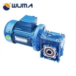 Custom High Quality double worm gear speed reducer with electric motor