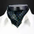 Import Custom made High Quality Men Cravats 100% polyester ascot scarf from China