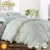 Import Customized Hotel Best Sleeping Bedroom Duvet 20% White Goose Comforter Down Duvet Quilt from China