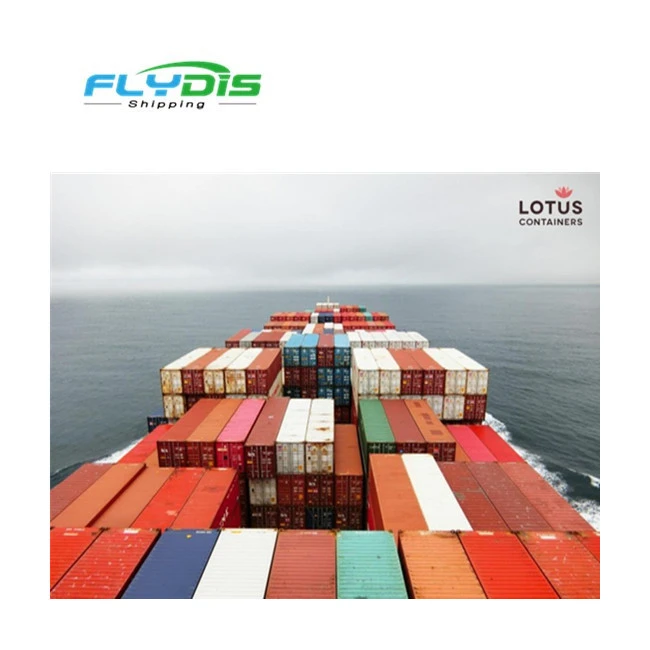 DDU/ DDP Fast international logistics from Shenzhen to the United States/Italy/France/Canada/amazon FBA
