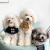 Import Dog Tie Pet Bandana Scarf Dog Collar British Style Cloak Windbreaker Trench Coat Cat Collars Small Dog Puppy Bib Pet Accessories from China