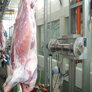 buy-down-hide-puller-for-cattle-slaughter-equipment-cow-slaughterhouse