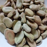 Dried Broad Beans.