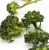 Import Dried vegetables Broccoli Sprout vegetables for soup from China