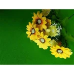 E-Reise Photo Studio kits OF 2x3m Photo Background Green photography background cloth