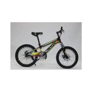 Environment Friendly 20 Inch Aluminium Frame Bicycle