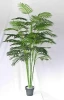 Evergreen man-made ornamental potted plant for sale