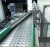Import Factory Customizable Size Chain Scraper Conveyor, Chain Conveyor, Drag Chain Conveyor from China