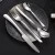 Import Factory Direct Sales 304 Silver Flatware cutlery set stainless steel from China
