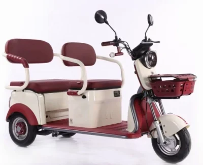 Factory Direct Sales New Style Electric Tricycle for Picking up Children Passengers