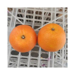 Factory direct sales of sweet and juicy fresh citrus oranges with high nutritional value