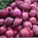 Factory direct sell red onion price fresh red onion price 1 ton