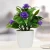 Import Factory Hot Sale Mini Green Plants Plastic Artificial Bonsai Plants For Home Decoration from China