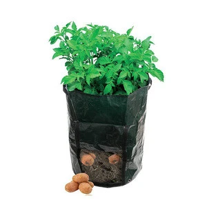 Factory made cheap garden plant potato grow bag