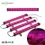 Import factory organic cultivation plant hydroponic kit strip lighting plant seeds bulbs from China