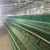 Import Factory Supply A Type Galvanized Chicken Poultry Layer Cage Bird Cage For Sale from China