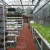 Import Farms container growing media dwc hydroponic system from China