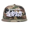 Fashion embroidery logo wholesale snapback cap camouflage cap