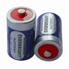 Fast Selling Water Heaters Use R20 Pvc Dry Battery Cell
