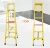 Import fiberglass step ladder/ telescopic ladder fiberglass from China