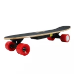 Fish Board Electric Skateboard Skate Board Electric