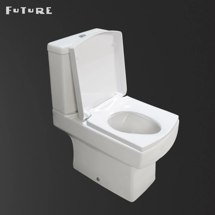 Flush Pipe Hidden Pack Wc Part Plunger Pot Price Rating Repair Luxury Woman Two Piece Toilet