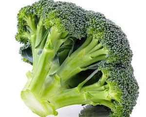 Fresh Broccoli Wholesale Prices / Export Price Of Broccoli / Fresh Ukraine Broccoli