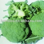 fresh broccoli