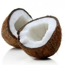 fresh coconut imports