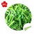 Import Fresh frozen green asparagus for sale from China