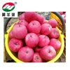 fresh fruit red Fuji apple with good taste from Gansu China