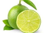 FRESH LIME SEEDLESS, LEMON FRUIT IN VIET NAM