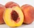 Import Fresh Peaches/Delicious Peaches for sale from Philippines