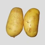 fresh potatoes