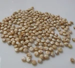 Fresh quinoa/Hot Sale quinoa