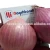 Import Fresh Red Onion from Pakistan ( Naqshbandi Enterprises ) from Pakistan