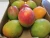 Import Fresh sweet mangoes for sale from United Kingdom