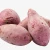 Import FRESH SWEET POTATOES from South Africa