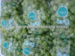 Fresh Victoria Green Grapes from China new crop