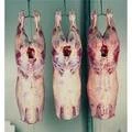 frozen lamb meat Discount Price