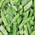 Import FROZEN MIXED VEGETABLES:  best quality small green mung bean for sprouting new crop from Germany