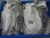 Import Frozen Whole Round Cuttlefish from India